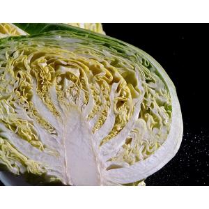 『春キャベツ』　愛知県・静岡県・千葉県産　キャベツ