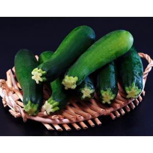 『ズッキーニ』 千葉県産 ズッキーニ 約1kg （7本前後）