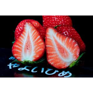 【2個購入で1箱オマケ】群馬県産 やよいひめ 約400g(8〜15粒) ×2パック 送料無料