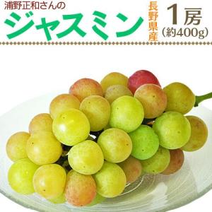 ぶどう ブドウ 葡萄 長野県産 ジャスミン 1房 約400g ※常温 送料無料