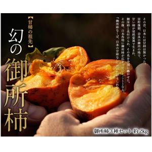 『御所柿3種食べ比べセット』奈良県産 約2kg（目安として9〜12玉、本御所＋2種）