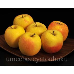 りんご リンゴ 林檎 岩手県盛岡産 山口さんが作る もりのかがやき 貯蔵 約3kg 6〜10玉 送料無料