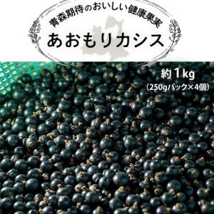 青森県産 『特別栽培　 あおもりカシス 生果実』 約1kg（250gパック×4個）　簡易包装　※冷蔵 送料無料