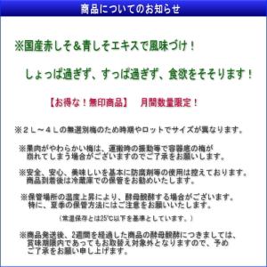 【月間数量限定!】【ノーブランド】 手作り南高...の詳細画像4