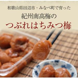 梅干し 訳あり はちみつ梅干し 塩分8% 1....の詳細画像1