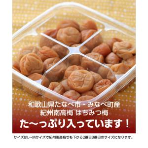 梅干し 小粒 はちみつ梅干し 塩分8% 800...の詳細画像1