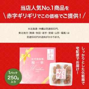 梅干し 小粒 はちみつ梅干し 塩分4% 250...の詳細画像2