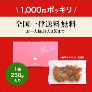 梅干し 種なし はちみつ梅干し 塩分5% 25...の詳細画像1