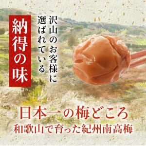 梅干し 種なし はちみつ梅干し 塩分5% 25...の詳細画像2