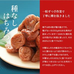 梅干し 種なし はちみつ梅干し 塩分5% 25...の詳細画像3