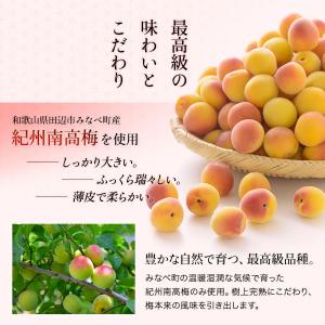 梅干し 種なし はちみつ梅干し 塩分5% 25...の詳細画像4