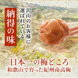 梅干し 訳あり はちみつ梅干し 塩分4% 40...の詳細画像2