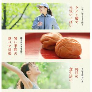 梅干し 訳あり はちみつ梅干し 塩分4% 40...の詳細画像3