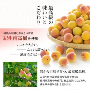 梅干し 訳あり はちみつ梅干し 塩分4% 40...の詳細画像5