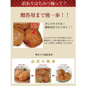 梅干し 訳あり はちみつ梅干し 塩分5% 40...の詳細画像1
