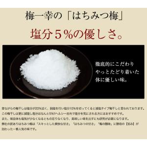 梅干し 訳あり はちみつ梅干し 塩分5% 40...の詳細画像2