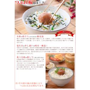 梅干し はちみつ 訳あり はちみつ梅干し 80...の詳細画像3