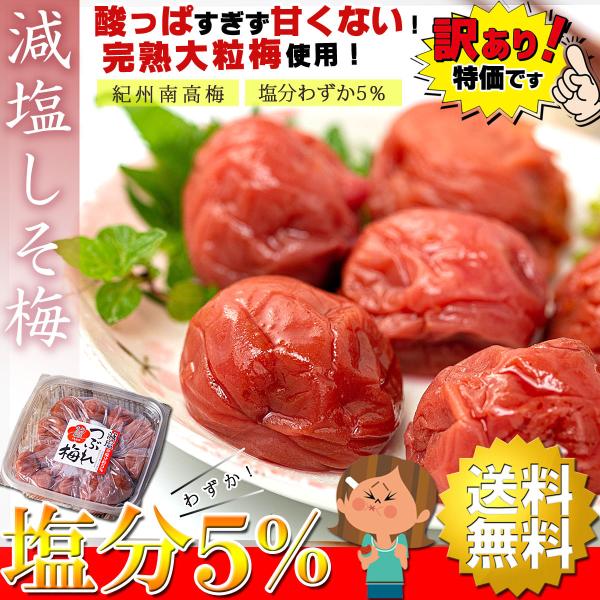 梅干し 紀州南高梅 減塩 しそ梅干し 800g（400g×2個） 塩分5％ 大粒 完熟梅 梅干ししそ...