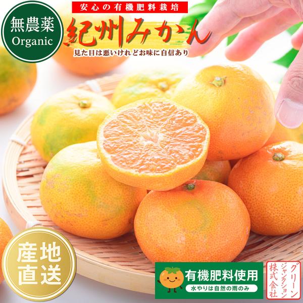 みかん 無農薬 和歌山県産 （ 有機 みかん サイズ不選別）10kg 紀州みかん 有機肥料栽培 和歌...