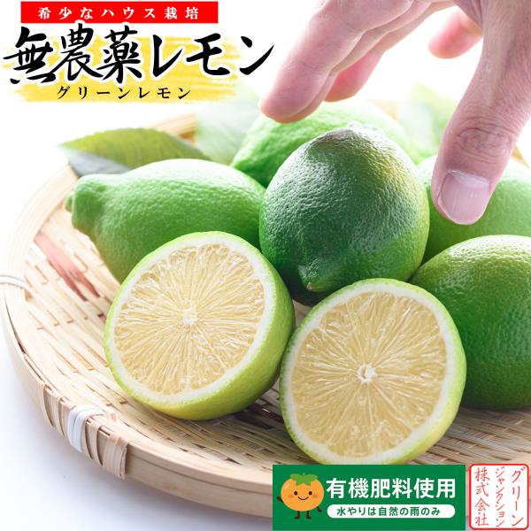 無農薬レモン 和歌山県産 レモン 約2kg グリーンレモン ハウス栽培（20個前後 サイズ不選別）有...