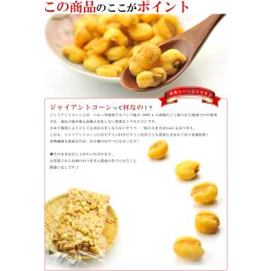 ジャイアントコーン 1kg(500g×2個)塩...の詳細画像4