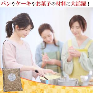 ひまわりの種 食用 サンフラワーシード 300...の詳細画像2
