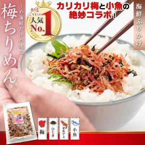 ふりかけ 梅ちりめん ( カリカリ梅 使用 梅入り ソフトふりかけ ）85g×2個 小魚 海鮮 珍味 ご飯のお供 おつまみ お茶漬け おにぎり 父の日 プチギフト｜梅干し&海産物 うめ海鮮Yahoo!店