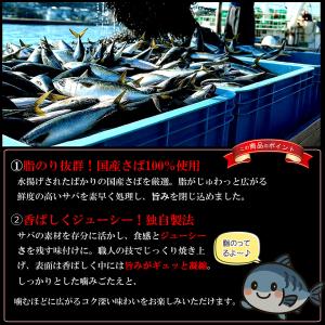 やみつき おつまみ 炙り鯖ジャーキー(国産さば...の詳細画像2