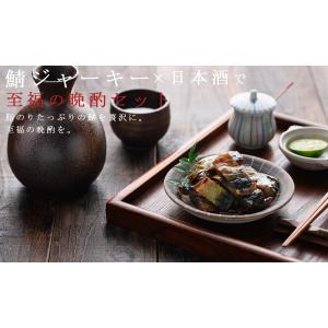 やみつき おつまみ 炙り鯖ジャーキー(国産さば...の詳細画像5