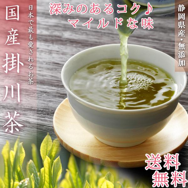 掛川茶 深蒸し茶 ティーバッグ 国産 20袋 緑茶 煎茶 健康茶 日本茶 茶 お茶 ギフト 水出し可...