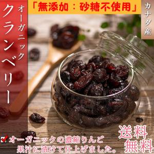 ドライクランベリー オーガニック ドライフルーツ 500g ( 無添加 砂糖不使用 無糖 有機栽培 ) カナダ産 クランベリー ドライ ベリー フルーツ｜umekaisen