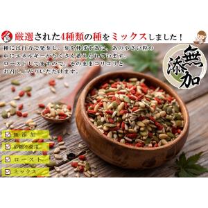 元気のタネ 4種 ミックスナッツ おつまみ 2...の詳細画像2