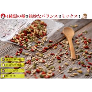 元気のタネ 4種 ミックスナッツ おつまみ 2...の詳細画像3