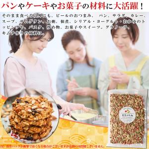 元気のタネ 4種 ミックスナッツ おつまみ 2...の詳細画像4