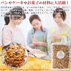 元気のタネ 4種 ミックスナッツ おつまみ 2...の詳細画像4