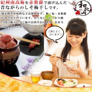 梅干し 無添加 しそ漬け しそ梅干し 訳あり ...の詳細画像2