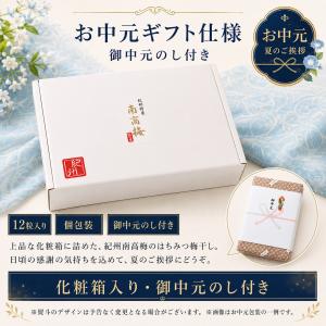 お中元 ギフト 2026 高級 梅干し はちみ...の詳細画像1