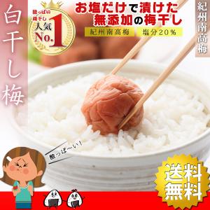 うめぼし 昔ながらの無添加小梅干し 1000g 塩分約20% サイズ無選別