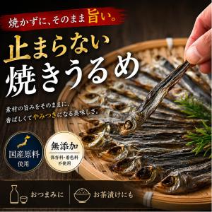 干物 国産 焼きめざし うるめいわし使用 32g×1個 無添加 塩のみ（ 焼かずにそのままどうぞ ） おつまみ 珍味 つまみ 小魚 焼めざし 焼きうるめ 食べる小魚