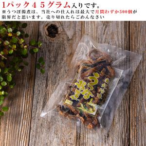 限定商品 国産 海鮮 おつまみ 珍味 うつぼ揚...の詳細画像5