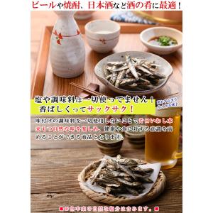 国産 焼きいわし 無添加 無塩 55g×3個(...の詳細画像1