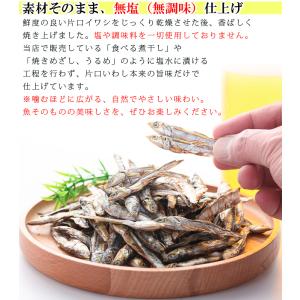 国産 焼きいわし 無添加 無塩 55g×3個(...の詳細画像2