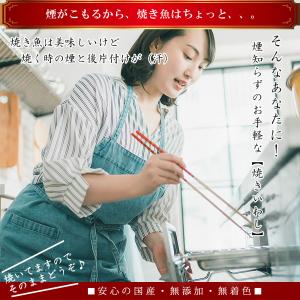 国産 焼きいわし 無添加 無塩 55g×3個(...の詳細画像4