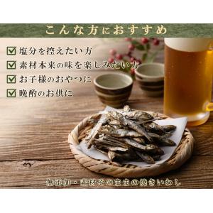 国産 焼きいわし 無添加 無塩 55g×3個(...の詳細画像5