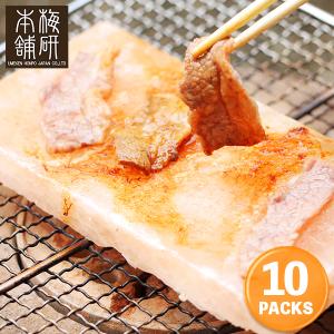 岩塩プレート ヒマラヤ岩塩プレート 200×100×15mm前後 5枚 焼肉 バーべ