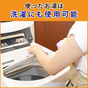 麦飯石 3kg ネット付 お風呂 飲用水 浄水...の詳細画像4