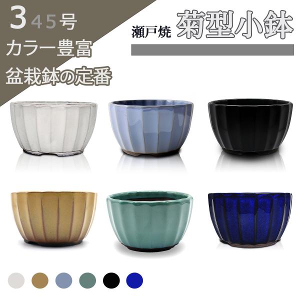 盆栽鉢 陶器  3号 菊型小鉢 ミニ 小さい おしゃれ 専門店 緑 白 青 黄 黒マット 五色展開 ...