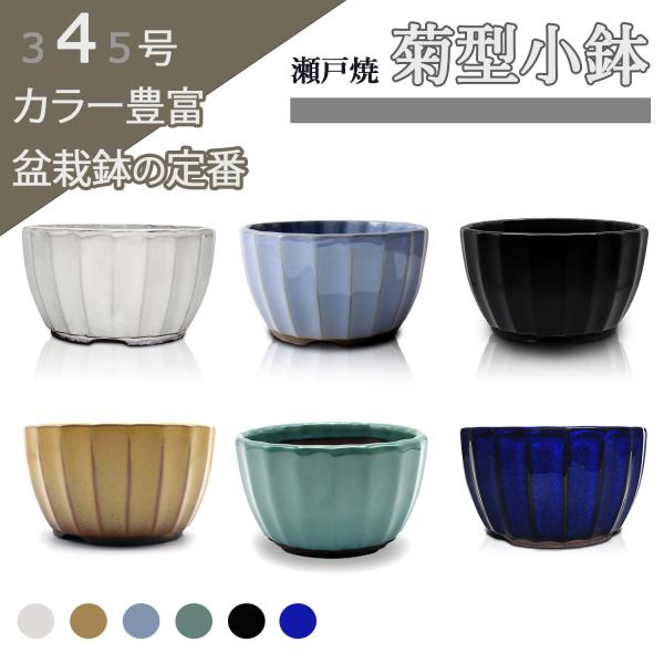 盆栽鉢 陶器  4号 菊型小鉢 小さい おしゃれ 専門店 緑 白 青 水色 黄 黒マット 六色展開 ...