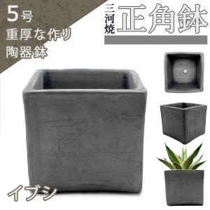 盆栽鉢 陶器鉢 黒鉄釉 中深ソリ 5号6号クラス SMの2サイズ展開 信楽焼