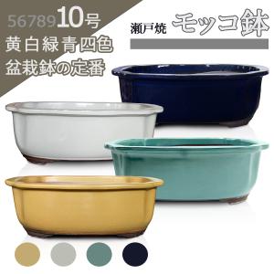 大和プラスチック 盆栽鉢 8号 長方鉢 長角 四角 ブラウン つや消し 浅